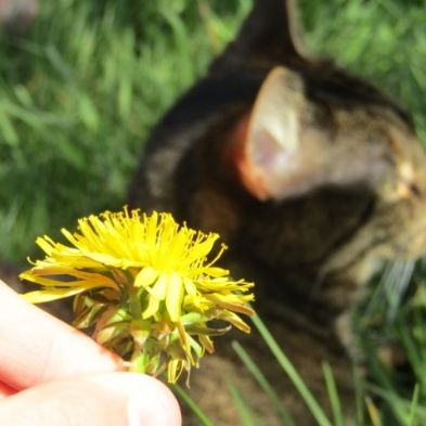 tsa_PhotoclubHomeLearning (50)